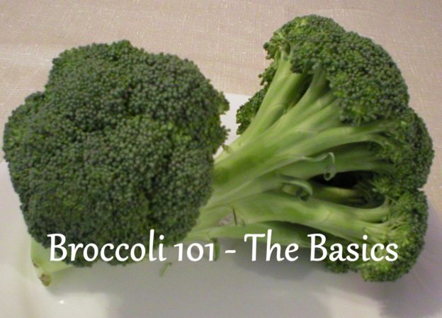 Broccoli 101 The Basics