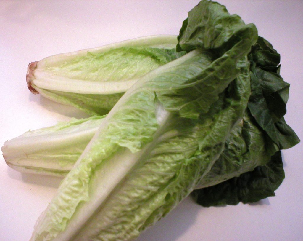 Unlocking Culinary Possibilities: Exploring the Versatility of Romaine ...