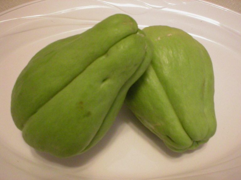 Chayote Squash 101 – The Basics