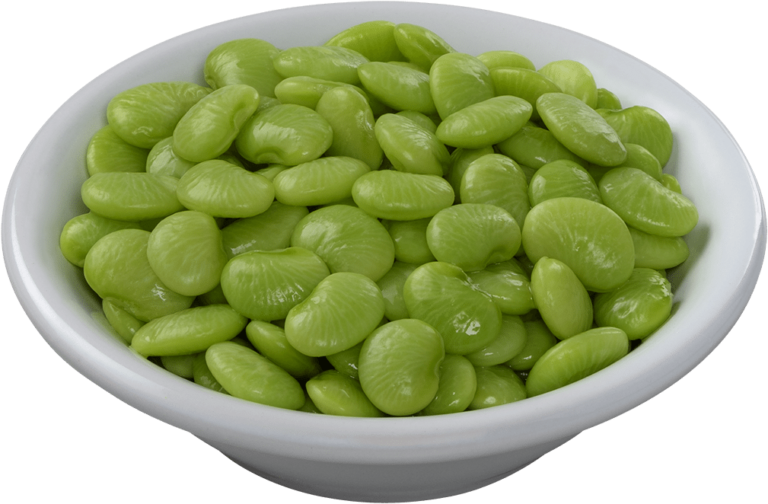 all about lima beans