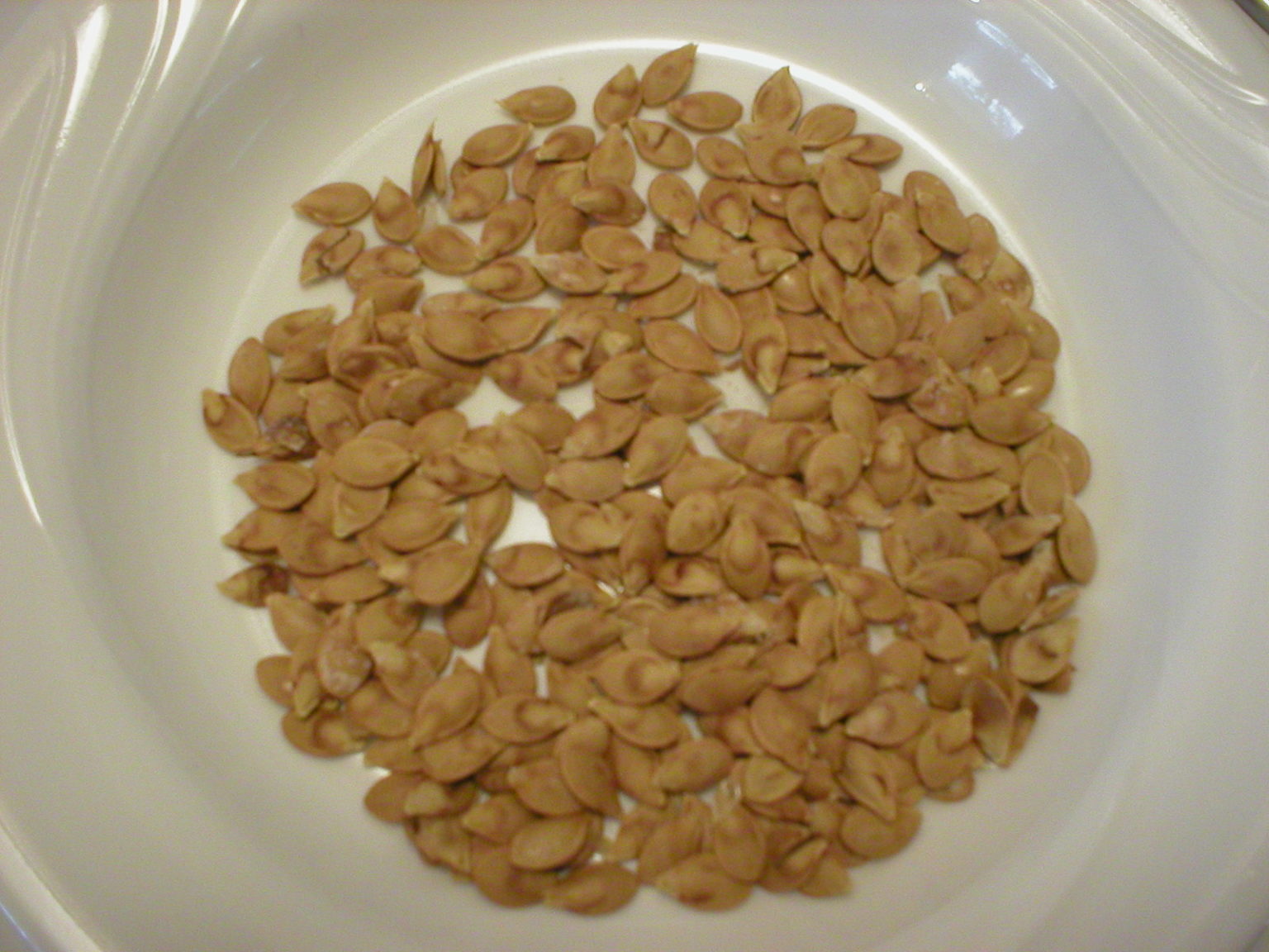 acorn squash seeds