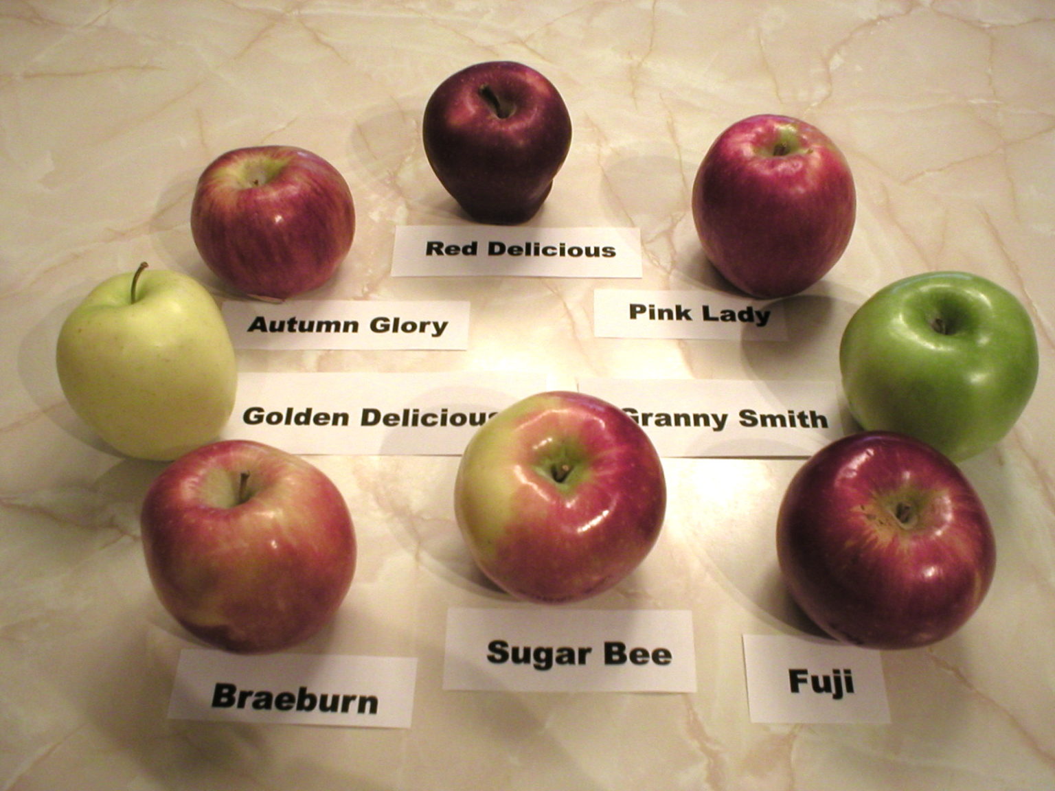 Apples 101 – About SugarBee Apples