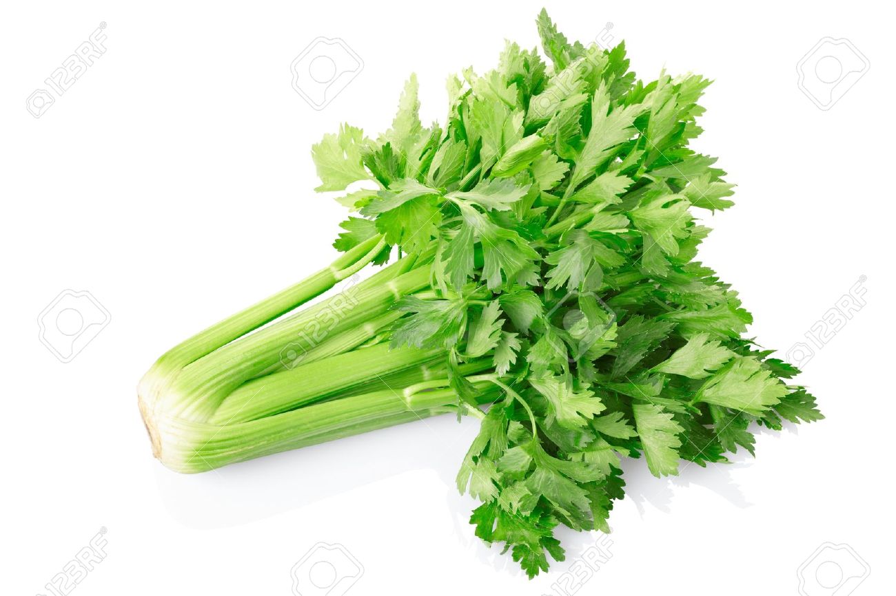 zing celery