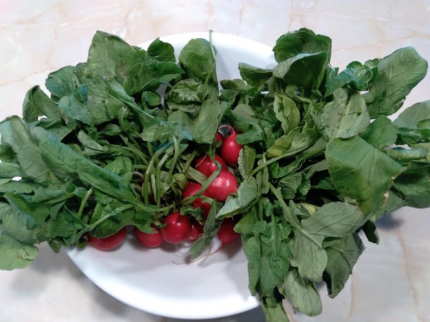 Radish Greens